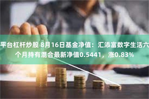 平台杠杆炒股 8月16日基金净值：汇添富数字生活六个月持有混合最新净值0.5441，涨0.83%