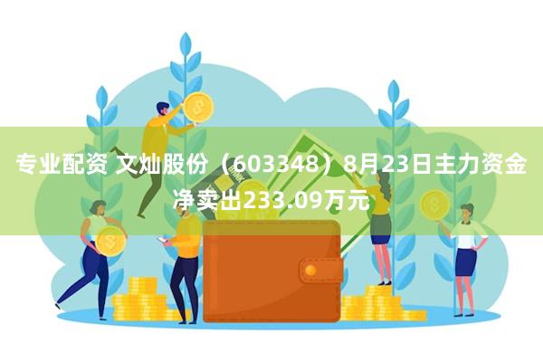 专业配资 文灿股份（603348）8月23日主力资金净卖出233.09万元