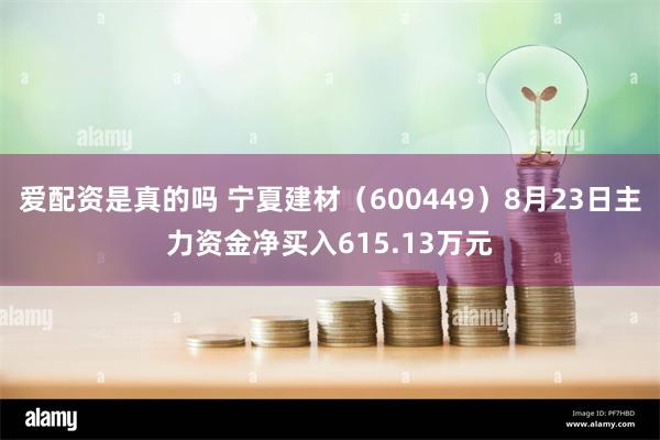 爱配资是真的吗 宁夏建材（600449）8月23日主力资金净买入615.13万元