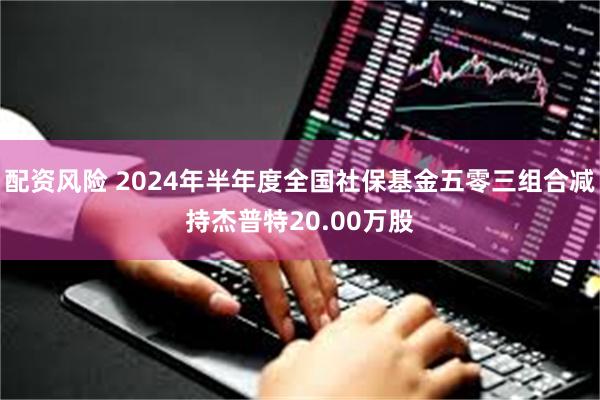 配资风险 2024年半年度全国社保基金五零三组合减持杰普特20.00万股