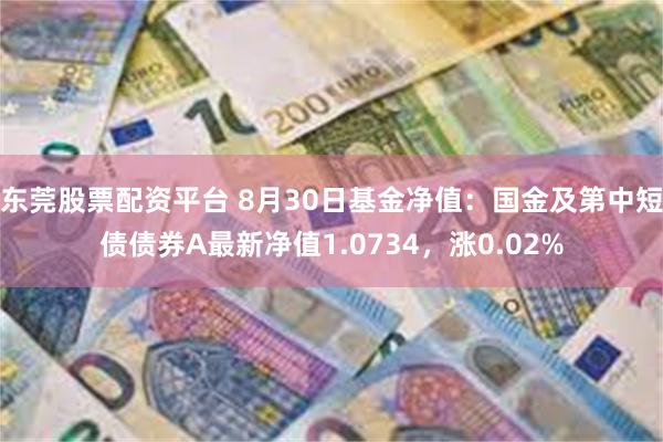 东莞股票配资平台 8月30日基金净值：国金及第中短债债券A最新净值1.0734，涨0.02%