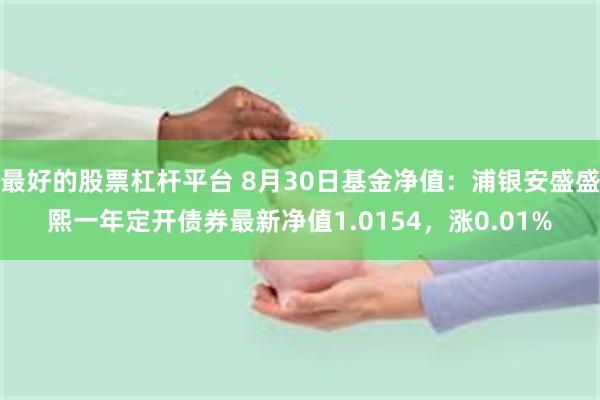 最好的股票杠杆平台 8月30日基金净值：浦银安盛盛熙一年定开债券最新净值1.0154，涨0.01%