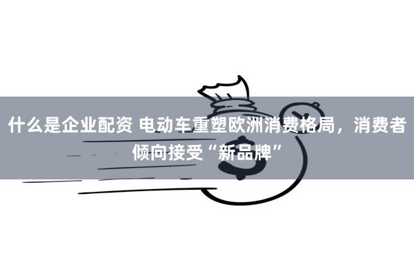 什么是企业配资 电动车重塑欧洲消费格局，消费者倾向接受“新品牌”