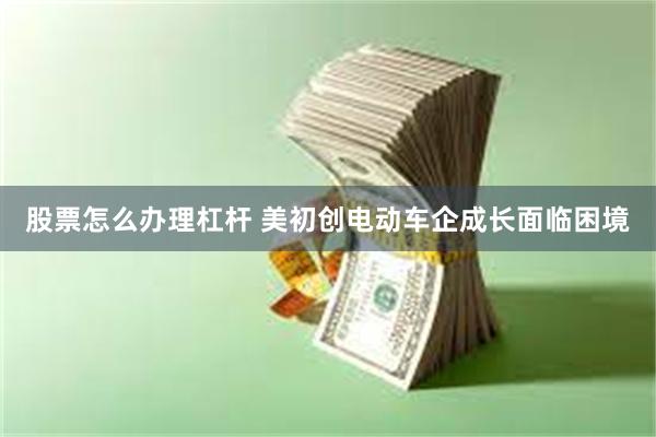 股票怎么办理杠杆 美初创电动车企成长面临困境