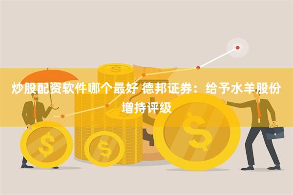 炒股配资软件哪个最好 德邦证券：给予水羊股份增持评级