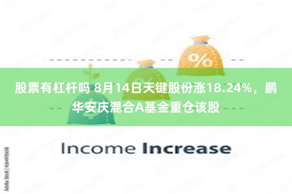 股票有杠杆吗 8月14日天键股份涨18.24%，鹏华安庆混合A基金重仓该股