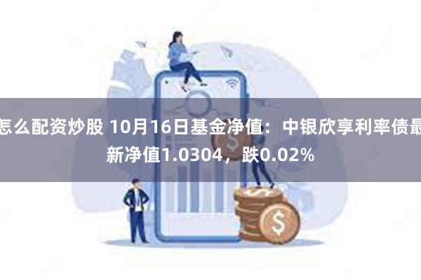 怎么配资炒股 10月16日基金净值：中银欣享利率债最新净值1.0304，跌0.02%