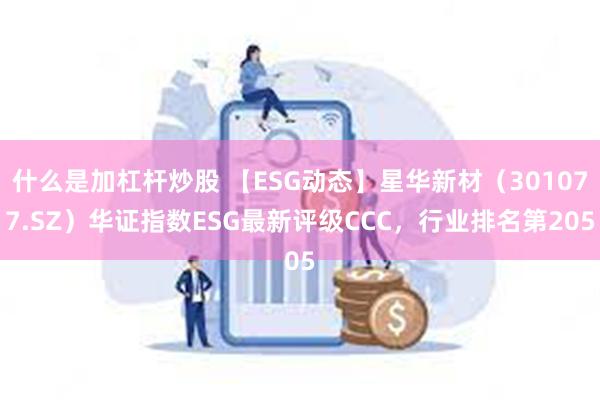 什么是加杠杆炒股 【ESG动态】星华新材（301077.SZ）华证指数ESG最新评级CCC，行业排名第205