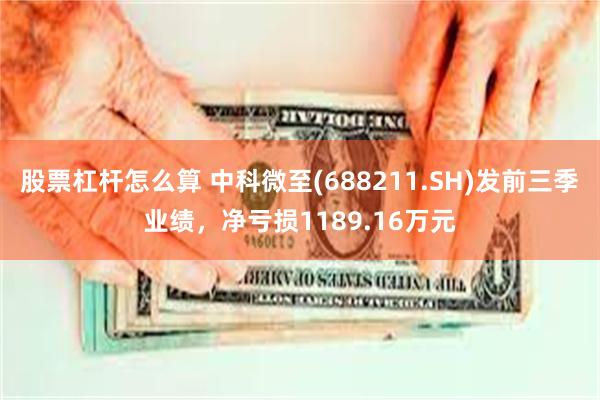 股票杠杆怎么算 中科微至(688211.SH)发前三季业绩，净亏损1189.16万元