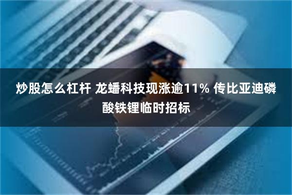 炒股怎么杠杆 龙蟠科技现涨逾11% 传比亚迪磷酸铁锂临时招标