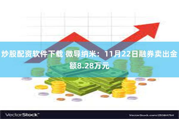 炒股配资软件下载 微导纳米：11月22日融券卖出金额8.28万元