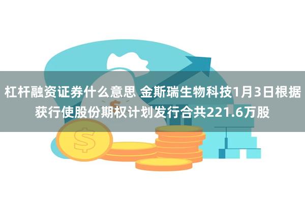 杠杆融资证券什么意思 金斯瑞生物科技1月3日根据获行使股份期权计划发行合共221.6万股