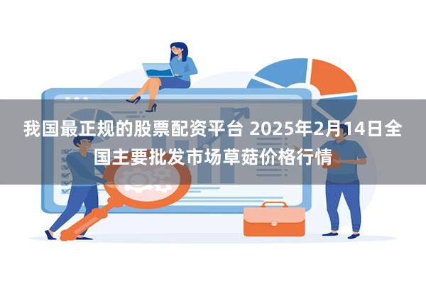 我国最正规的股票配资平台 2025年2月14日全国主要批发市场草菇价格行情