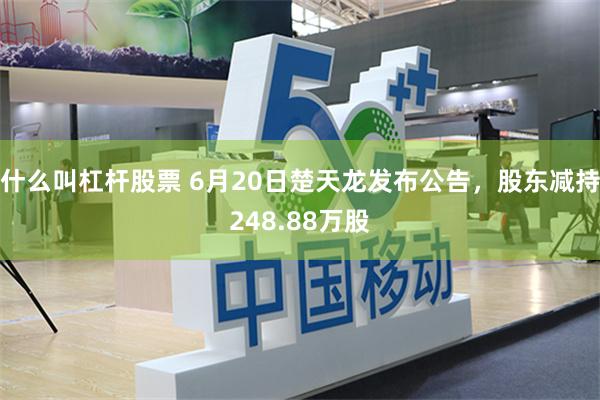 什么叫杠杆股票 6月20日楚天龙发布公告，股东减持248.88万股