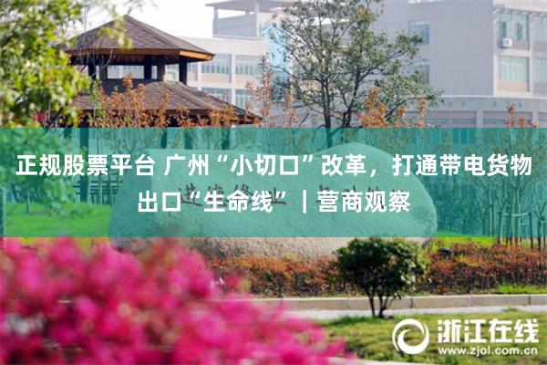 正规股票平台 广州“小切口”改革，打通带电货物出口“生命线”｜营商观察