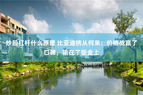 炒股杠杆什么原理 比亚迪锈从何来：价格战赢了口碑，输在了钣金上