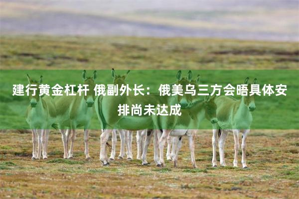 建行黄金杠杆 俄副外长：俄美乌三方会晤具体安排尚未达成